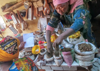 Cameroon Informal Sector: Key Insights from the EESI3 Report