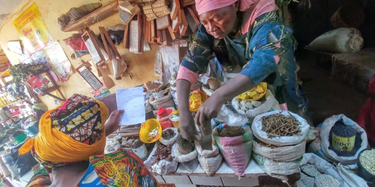 Cameroon Informal Sector: Key Insights from the EESI3 Report